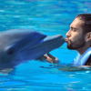 Punta Cana: Dolphin Explorer Swims and Encounters - Image 8