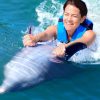 Punta Cana: Dolphin Discovery Swims and Encounters - Image 23