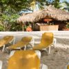 Punta Cana: Full-Day Snorkeling Tour to Catalina Island - Image 20