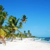 Saona Island: Beaches and Natural Pool Cruise with Lunch - Image 2