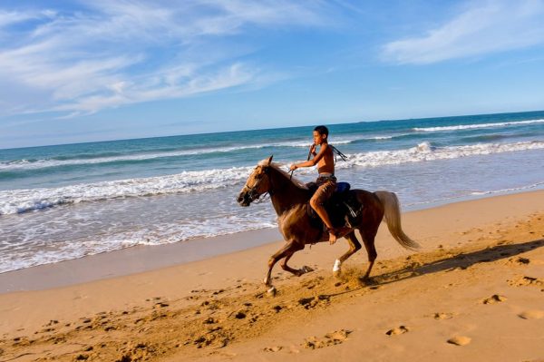 Puerto Plata: Horseback Riding on the Beach