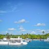 From Punta Cana: Saona Island Full Day Trip with Lunch - Image 27