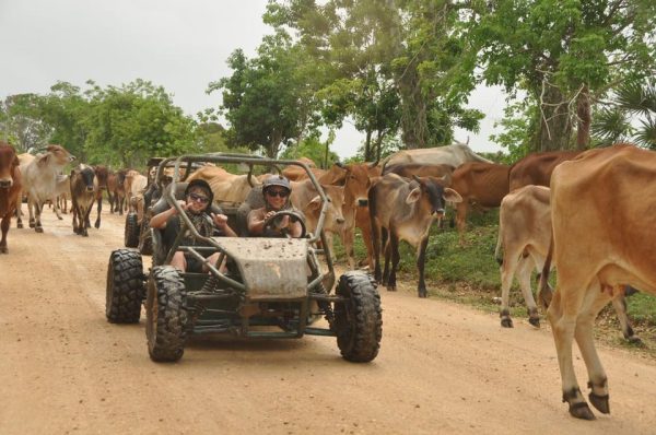 Bayahibe: Buggy Tour with River Chavón and Local Tasting