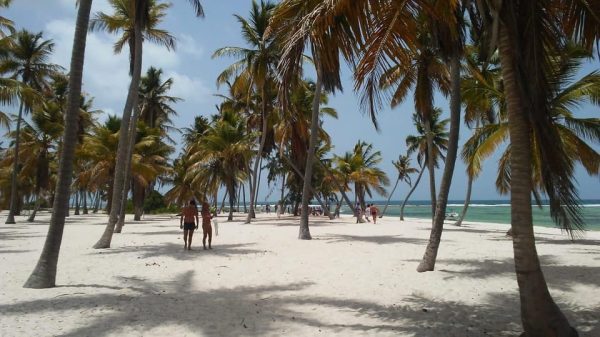 Saona Island Delights Tour from Punta Cana / Bavaro