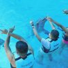 Punta Cana: Dolphin Discovery Swims and Encounters - Image 6