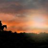 Punta Cana: Sunset Horseback Ride in Macao Beach and Forest - Image 4