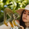 Monkeyland tour + Transportation from cruise/hotel - Image 2