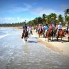 Punta Cana: Horseback Riding Through the Beautiful Beaches - Image 4