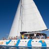 Puerto Plata: Catamaran Snorkeling Trip with Buffet - Image 5