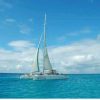 From Punta Cana: Isla Saona Full-Day Tour with Buffet Lunch - Image 4