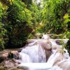 Jamaica: Full Day Dunn's River and Blue Hole with Lunch - Image 5