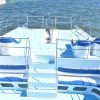 Party boat catamaran trinity| snorkeling| private beach - Image 6