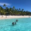 Experience Saona Island from Punta Cana - Image 4