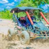 Dune Buggy and ATV Adventure in Punta Cana Beach Macao - Image 5