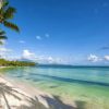 Saona Island Delights Tour from Punta Cana / Bavaro - Image 2