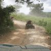 From Punta Cana or La Romana: Sugarcane Fields Buggy or Quad - Image 2