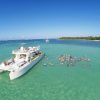 Punta Cana: Marinarium Snorkeling Cruise - Image 5