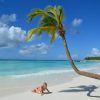 From Punta Cana: Bayahibe and Saona Island Tour with Lunch - Image 5