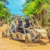 Tour Buggy de Medio día Playa Macao - Image 5