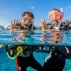 Catalina Island Tour with Snorkelling and Lunch - Image 5