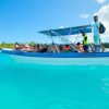 Aventura Exótica a Isla Saona: Paraíso en la Piscina Natural - Image 5