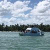 Small-Group Cruising and Snorkeling Catamaran Tour - Image 5