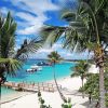 Punta Cana: Isla Saona Day Trip with Catamaran Party - Image 5