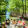 Samana: Los Haitises National Park & Cayo Levantado Tour - Image 6