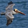 From Punta Cana: Los Haitises & Caño Hondo Private Boat Tour - Image 4