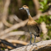 Sabana de la Mar: Private Los Haitises Hike and Kayak - Image 6