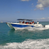 Saona Island: Full-Day Boat Tour with Drinks & Buffet Lunch - Image 5