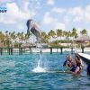 Punta Cana Dolphin Swim Adventure: 40-min Dolphin Experience - Image 5