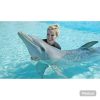 Punta Cana: Dolphin Explorer Swims and Encounters - Image 3