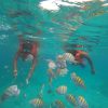 Punta Cana: Catalina Island Catamaran Cruise with Snorkeling - Image 5