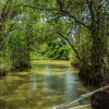 Punta Cana Day trip from Punta Cana to Los Haitises - Image 8