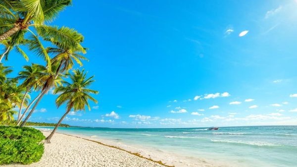 Punta Cana:7 Playas Walking Tour+Casa Tipica Lunch Included