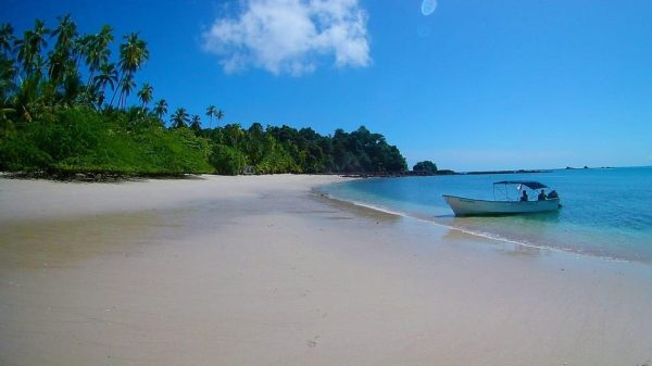 Saona Island Tour with Lunch from Punta Cana