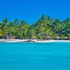 From Punta Cana: Saona Island Full Day Trip with Lunch - Image 36