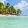 From Punta Cana: Saona Island Full Day Trip with Lunch - Image 41