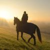 Punta Cana: Sunset Horseback Ride in Macao Beach and Forest - Image 5