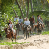 From Punta Cana: Samana Cayo Levantado / Whales - Image 6