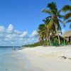 From Santo Domingo: Isla Saona Full-Day Tour with Lunch - Image 2