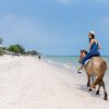 Punta Cana: Horseback Riding Through the Beautiful Beaches - Image 5