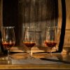 Ron Barcerló: Rum Factory Tour with Rum Tastings - Image 2