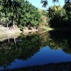 Puerto Plata: Taino Valley and Dominican Flavor Experience - Image 6