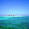 Cayo Arena: Paradise Island and Mangroves Tour - Image 6