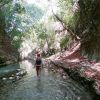 Damajagua: Waterfalls with Lunch Buffet - Image 2