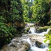 Jamaica: Full Day Dunn's River and Blue Hole with Lunch - Image 6