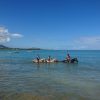 Puerto Plata: Horseback Riding on the Beach - Image 6