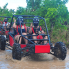 Punta Cana: Tour in buggy Macao amazing beach cenote - Image 7